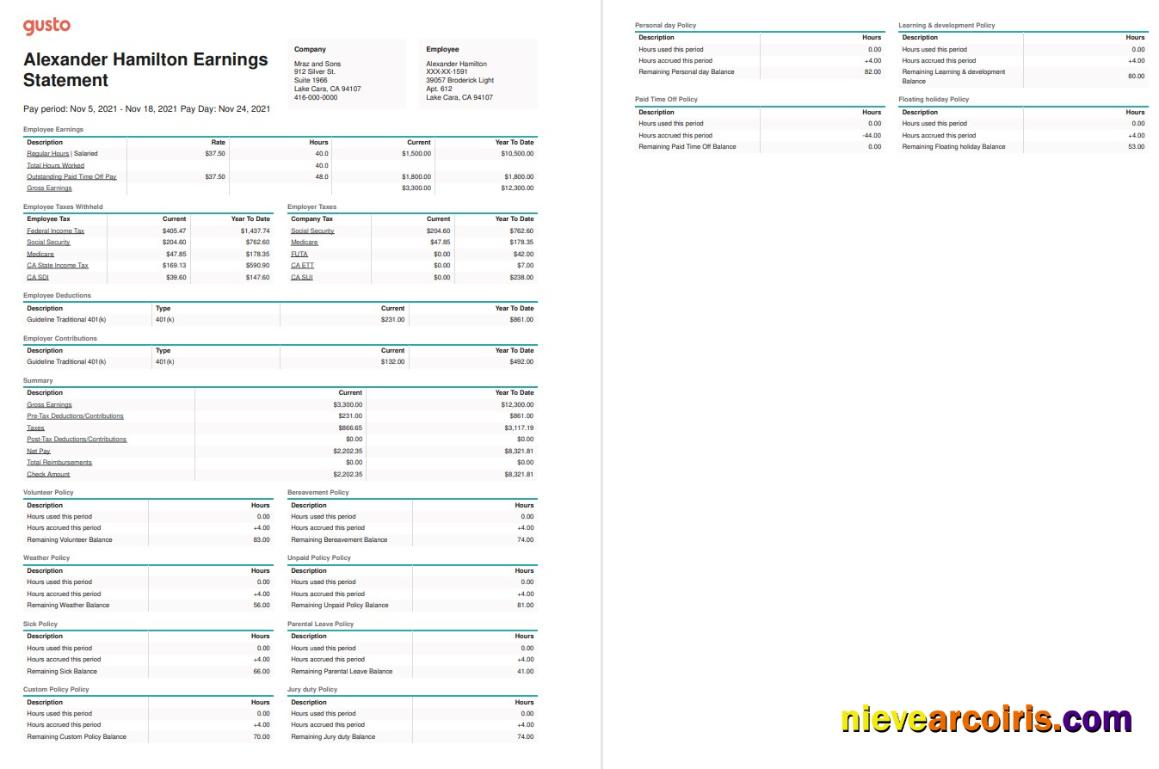 Mraz and Sons earnings statement